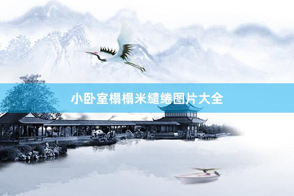 小卧室榻榻米缱绻图片大全