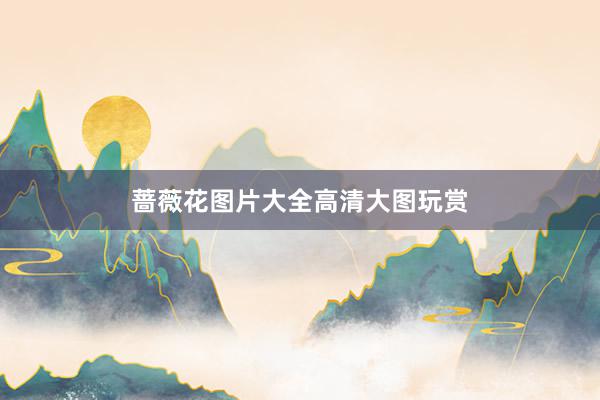 蔷薇花图片大全高清大图玩赏