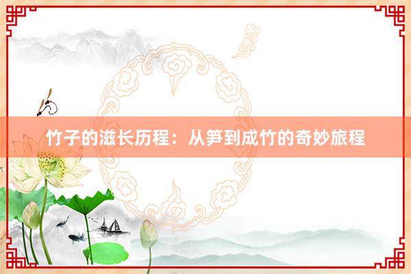 竹子的滋长历程：从笋到成竹的奇妙旅程
